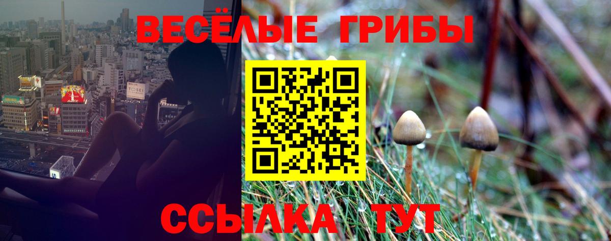 Краснодар  Псилоцибиновые грибы Magic Shrooms  Галлюциногенные грибы мухоморы  наркотики  Вход с VPN 