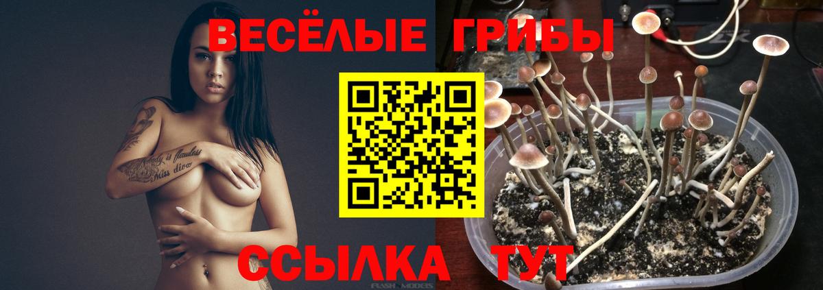 Галлюциногенные грибы Magic Shrooms Краснодар